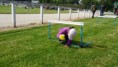/album/la-journee-sportive/jour-sport-valognes-2013-012-jpg/